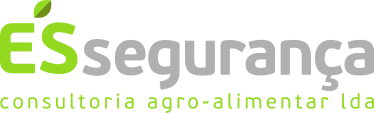 AVA ÉS Segurança